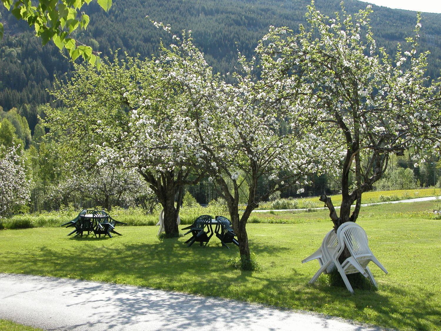 Smedsgarden Hotel Nesbyen Exterior photo